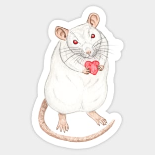 Albino Rat with Heart Sticker